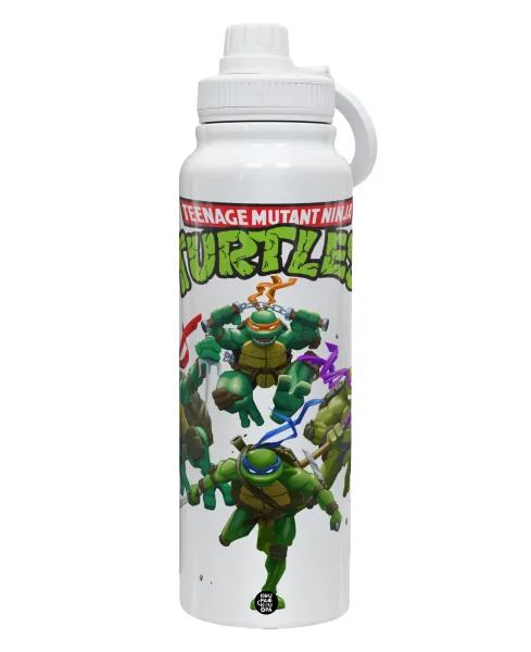 Ninja turtles — 1