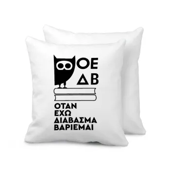 ΟΕΔΒ, Μαξιλάρι καναπέ 40x40cm περιέχεται το  γέμισμα