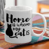 Home is where my cat is!