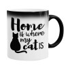  Home is where my cat is!