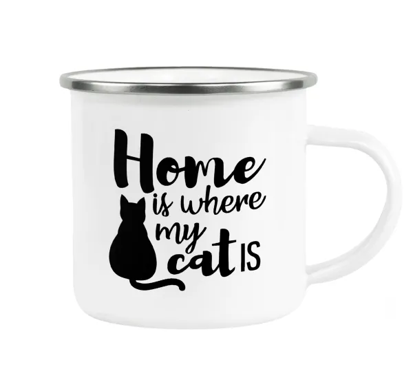 Home is where my cat is! — 1
