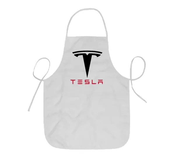 Tesla motors — 1
