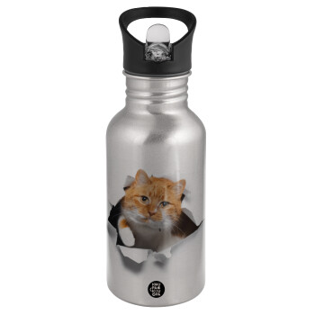 Cat cracked, Water bottle Silver with straw, stainless steel 500ml