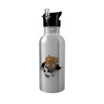 Cat cracked, Water bottle Silver with straw, stainless steel 600ml