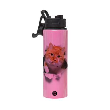 Cat cracked, Metallic water bottle with safety lid, 850ml aluminum