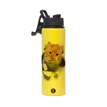 Cat cracked, Metallic water bottle with safety lid, 850ml aluminum
