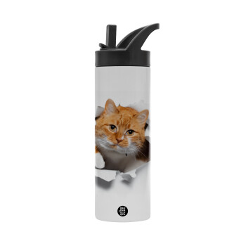 Cat cracked, Water bottle - 600 ml beverage bottle with a lid with a handle