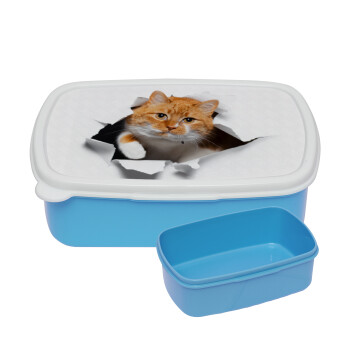 Cat cracked, ΜΠΛΕ παιδικό δοχείο φαγητού (lunchbox) πλαστικό (BPA-FREE) Lunch Βox M18 x Π13 x Υ6cm
