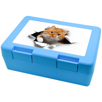 Cat cracked, Children's cookie container LIGHT BLUE 185x128x65mm (BPA free plastic)