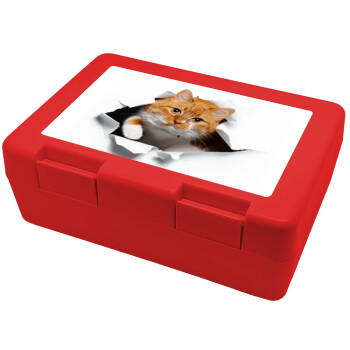 Cat cracked, Children's cookie container RED 185x128x65mm (BPA free plastic)