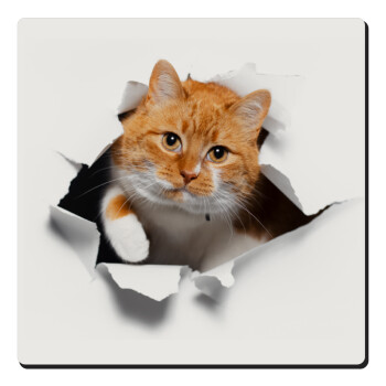 Cat cracked, Τετράγωνο μαγνητάκι ξύλινο 6x6cm