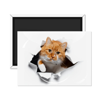 Cat cracked, Ορθογώνιο μαγνητάκι ψυγείου διάστασης 9x6cm