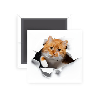 Cat cracked, Μαγνητάκι ψυγείου τετράγωνο διάστασης 5x5cm
