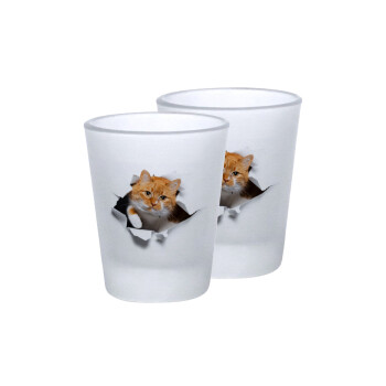 Cat cracked, Σφηνοπότηρα γυάλινα 45ml του πάγου (2 τεμάχια)