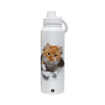 Cat cracked, Θερμός 1L Ανοξείδωτο με Βάση Κινητού & Διπλά Τοιχώματα