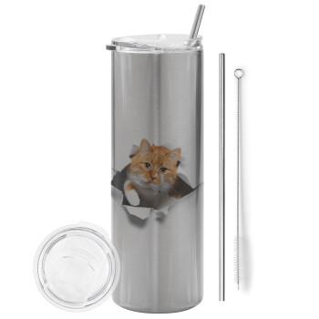 Cat cracked, Eco friendly stainless steel Silver tumbler 600ml, with metal straw & cleaning brush