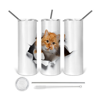 Cat cracked, Tumbler stainless steel 600ml, with metal straw & cleaning brush