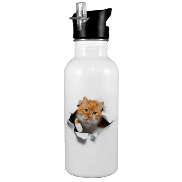 Cat cracked — White water bottle with straw, stainless steel 600ml