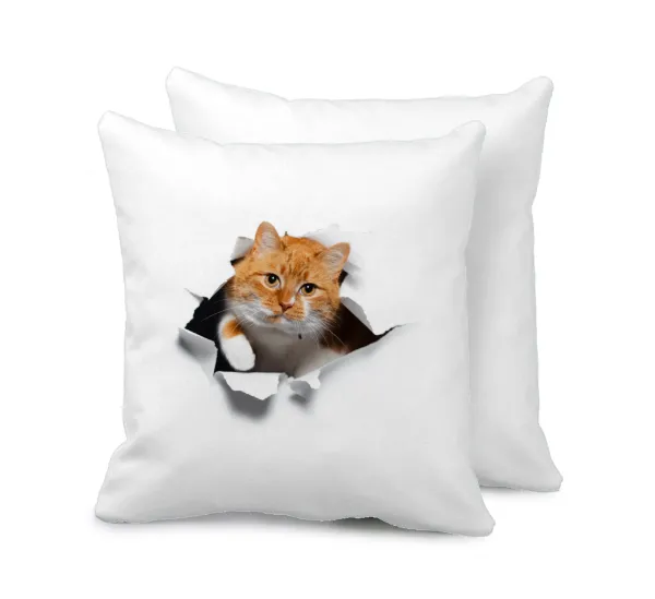 Cat cracked — 1