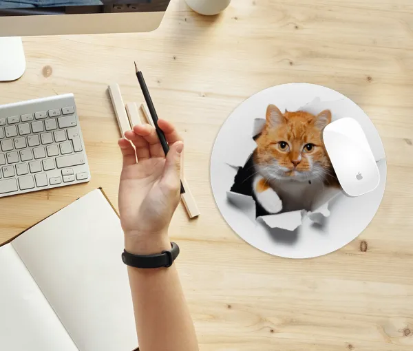 Cat cracked — 2