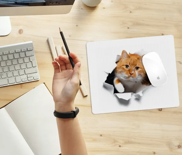 Cat cracked — 2