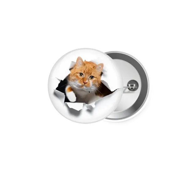 Cat cracked — 1