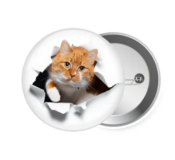 Cat cracked — 1