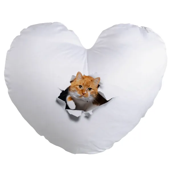 Cat cracked — 1