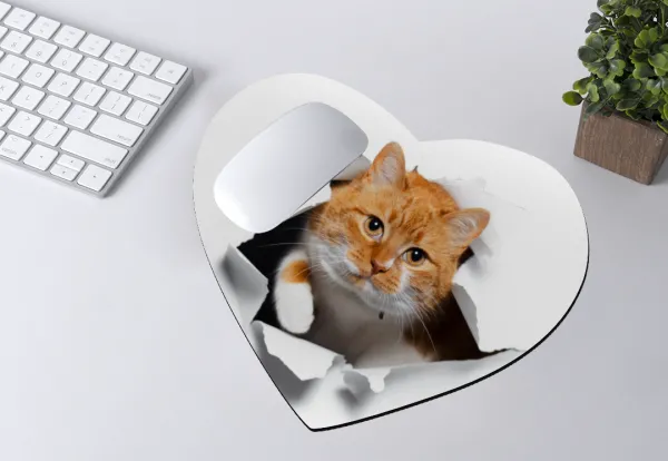 Cat cracked — 2