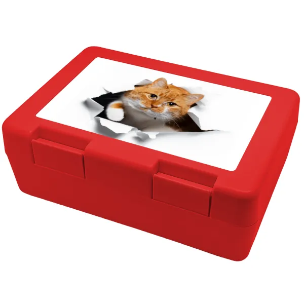 Cat cracked — Children's cookie container RED 185x128x65mm (BPA free plastic)