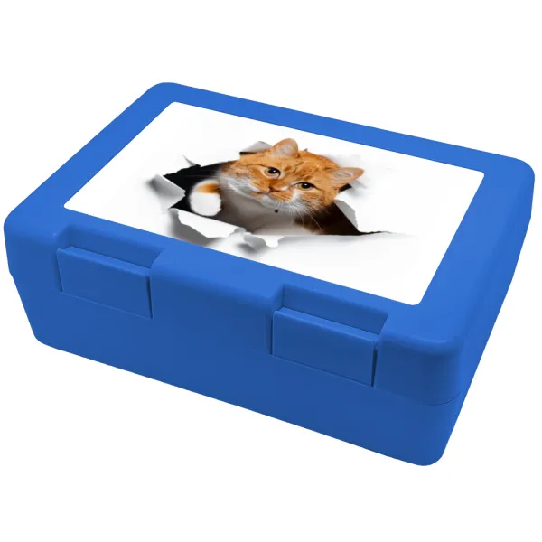 Cat cracked — Παιδικό δοχείο κολατσιού ΜΠΛΕ 185x128x65mm (BPA free πλαστικό)