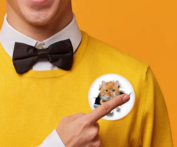 Cat cracked — 2