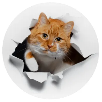 Cat cracked, Mousepad Στρογγυλό 20cm