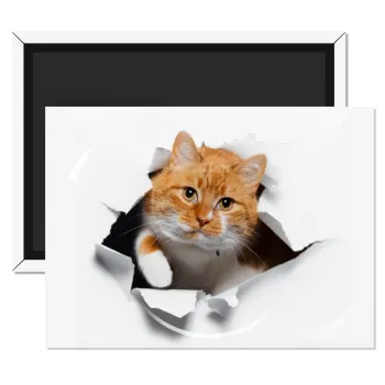 Cat cracked, Ορθογώνιο μαγνητάκι ψυγείου διάστασης 9x6cm