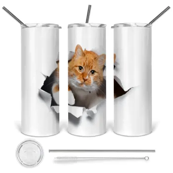 Cat cracked, Tumbler ποτήρι θερμό από ανοξείδωτο ατσάλι 600ml, με μεταλλικό καλαμάκι & βούρτσα καθαρισμού