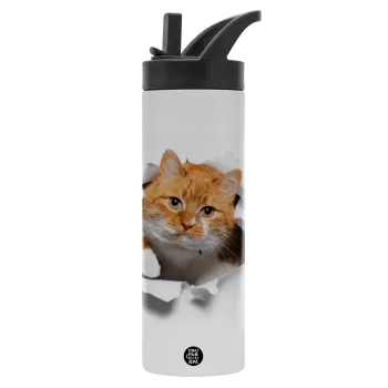 Cat cracked, Metallic thermos bottle with straw & handle, stainless steel (Stainless steel 304), double-walled, 600ml.