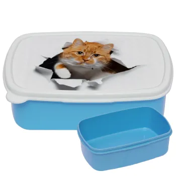 Cat cracked, ΜΠΛΕ παιδικό δοχείο φαγητού (lunchbox) πλαστικό (BPA-FREE) Lunch Βox M18 x Π13 x Υ6cm