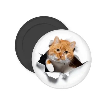 Cat cracked, Μαγνητάκι ψυγείου στρογγυλό διάστασης 5cm