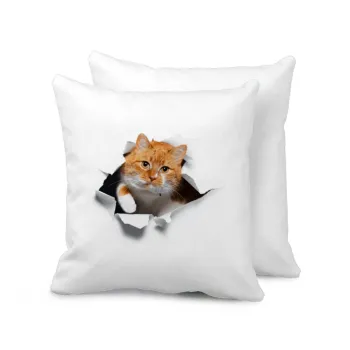 Cat cracked, Μαξιλάρι καναπέ 40x40cm περιέχεται το  γέμισμα