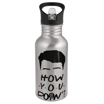 Friends how you doin?, Water bottle Silver with straw, stainless steel 500ml