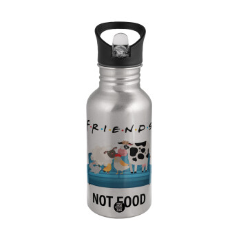 friends, not food, Water bottle Silver with straw, stainless steel 500ml