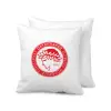 Μαξιλάρι καναπέ 40x40cm περιέχεται το  γέμισμα